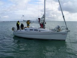Stage Croisère Concarneau 2007 - Boréal et son équipage viennent prendre le café